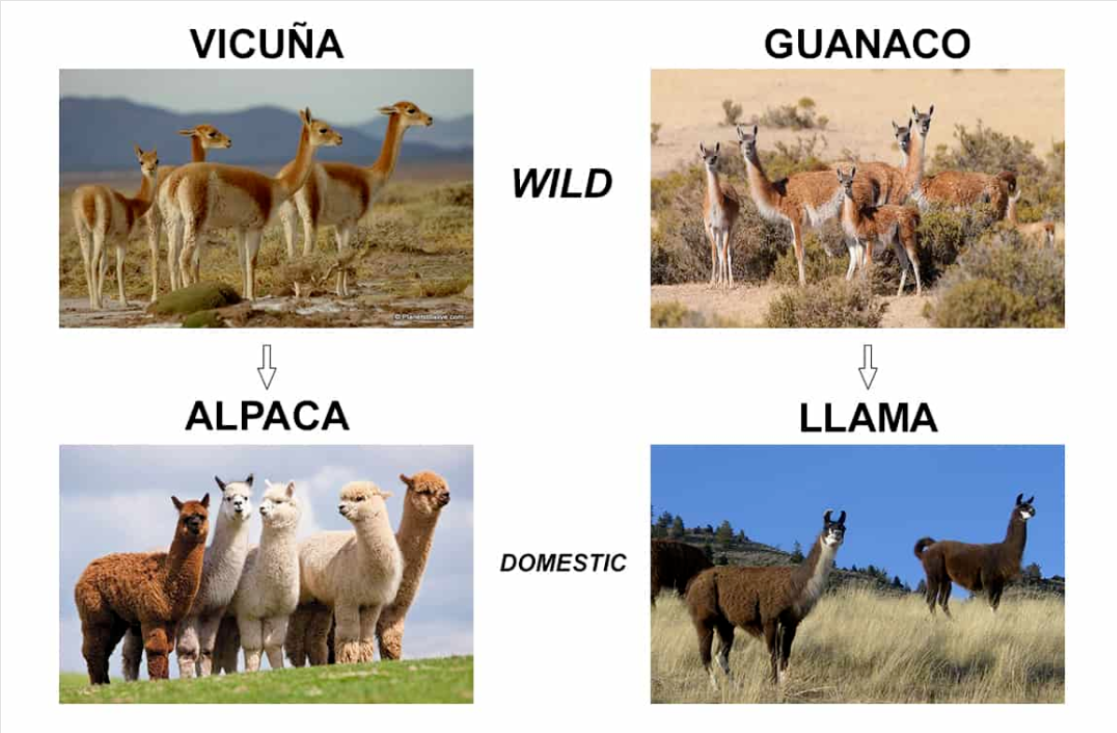 b9ef3449d7d51a0cf8f61603c3797efe.png